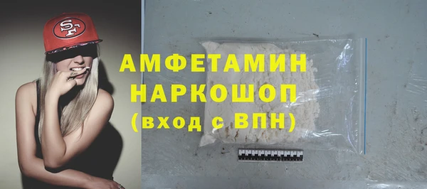индика Алексин