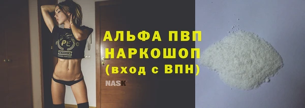 индика Алексин