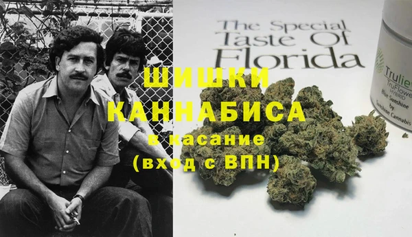 индика Алексин