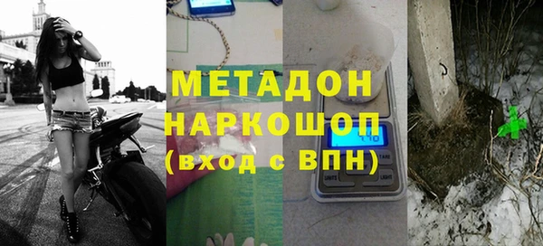 индика Алексин