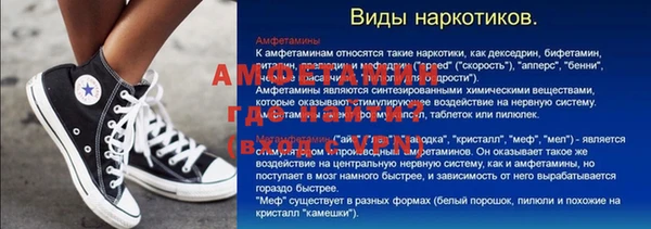 индика Алексин