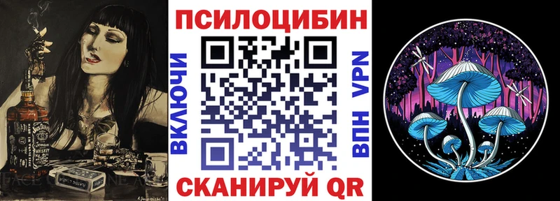 наркотики  Новочебоксарск  Псилоцибиновые грибы Psilocybe 